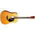 DE Retro Plus Dreadnought + housse Martin Guitars