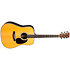 HD-35-GE Gloss Standard Series 2025 + Etui Martin Guitars