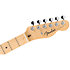 Standard Telecaster MN Butterscotch Blonde Fender