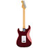 Standard Stratocaster SSS MN Candy Cola Fender