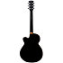 GFS ASCE 201 Black Shiver