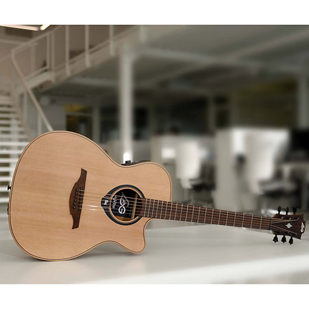 HV10-ACE HyVibe 10 Auditorium Cutaway Electro + Housse LAG