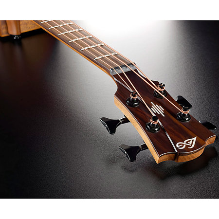 HV10-BCE HyVibe 10 Jumbo Bass Cutaway Electro + Housse LAG