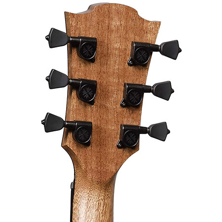 HV50-DE HyVibe 50 Dreadnought Electro + Housse LAG