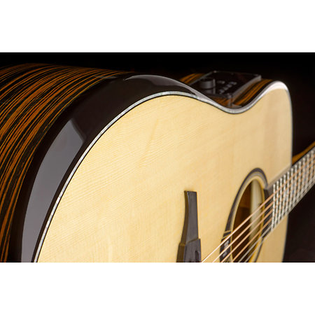 HV50-DE HyVibe 50 Dreadnought Electro + Housse LAG