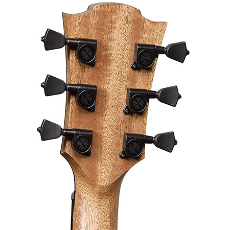 HV50-ACE HyVibe 50 Auditorium Cutaway Electro + Housse LAG