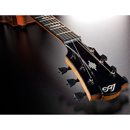 HV50-ACE HyVibe 50 Auditorium Cutaway Electro + Housse LAG