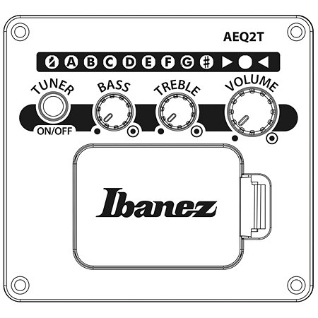 TCY621-BOT Talman Black Out Ibanez