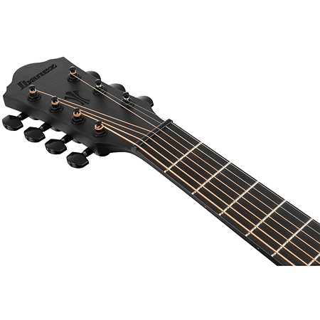 AEG721-BOT Black Out 7 cordes Ibanez