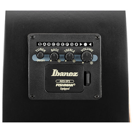 AEG721-BOT Black Out 7 cordes Ibanez