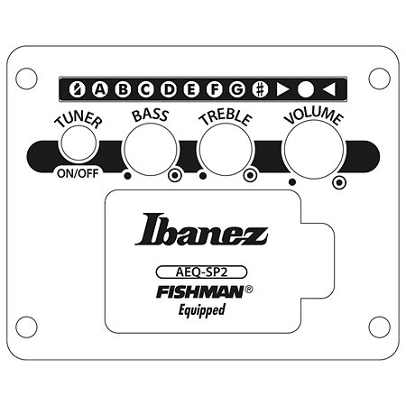 AEG721-BOT Black Out 7 cordes Ibanez