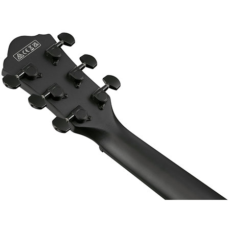 AEWC621-BOT Black Out Ibanez
