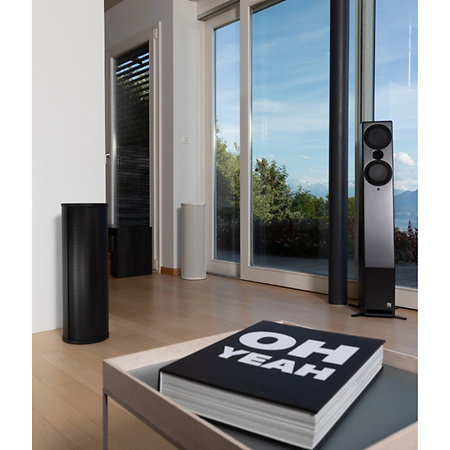 AVAA C214 Black PSI
