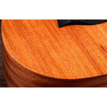 BT2 Baby Taylor Mahogany + Housse Taylor