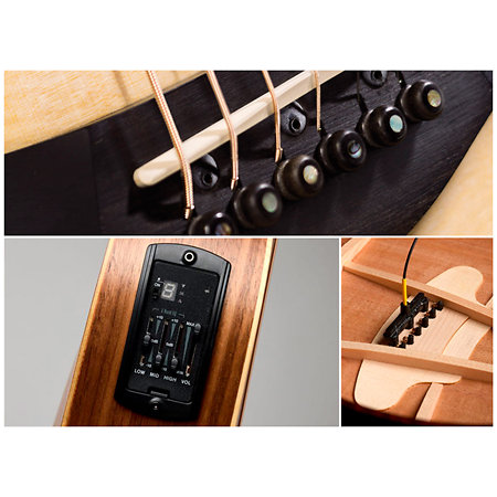 BT1e Baby Taylor Walnut + Housse Taylor