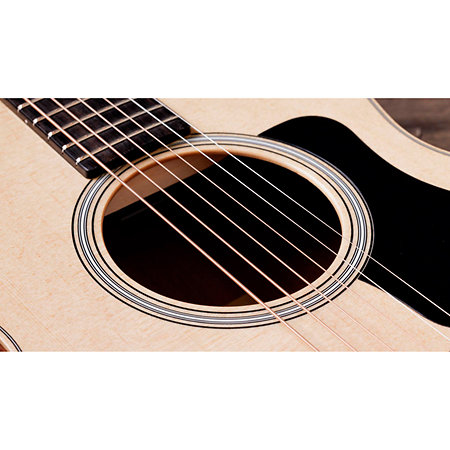 GS Mini Sapele + Housse Taylor