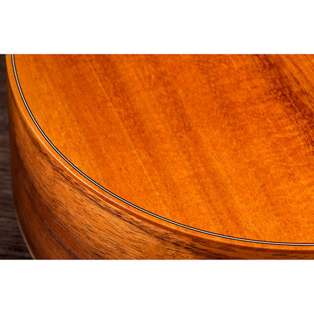 GS Mini-e Koa + Housse Taylor