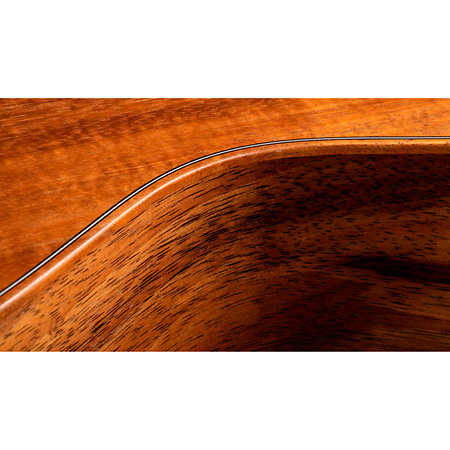 GS Mini-e Koa + Housse Taylor