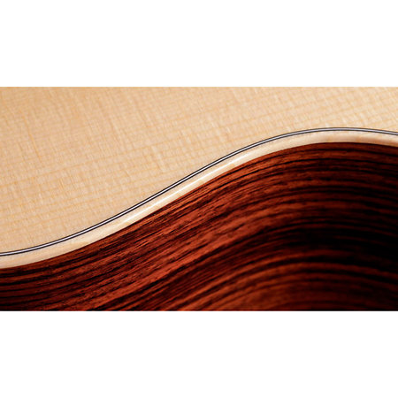 GS Mini-e Rosewood Plus + Etui Taylor