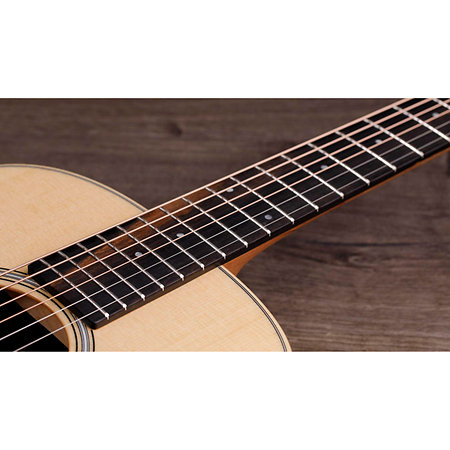 GS Mini-e Rosewood Plus + Etui Taylor