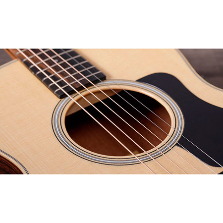 GS Mini-e Rosewood Plus + Etui Taylor