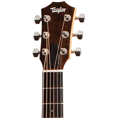 GS Mini-e Rosewood Plus + Etui Taylor