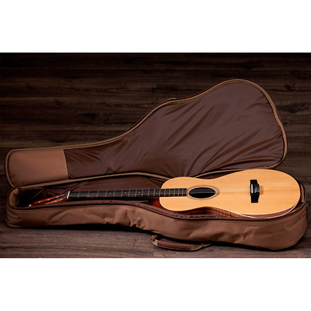 Academy 12e-N + Housse Taylor