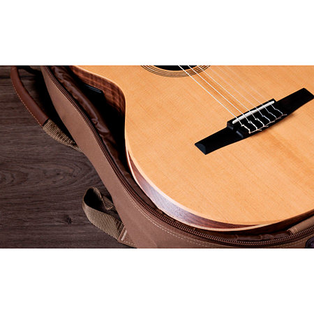 Academy 12e-N + Housse Taylor