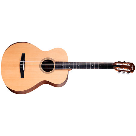 Academy 12e-N + Housse Taylor