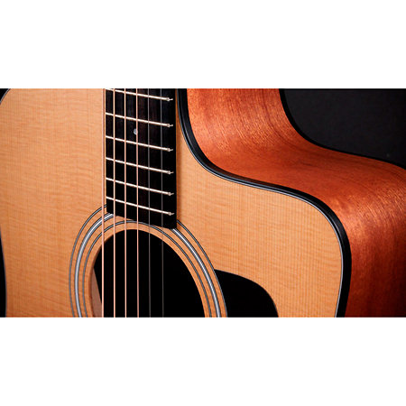 110ce + Housse Taylor