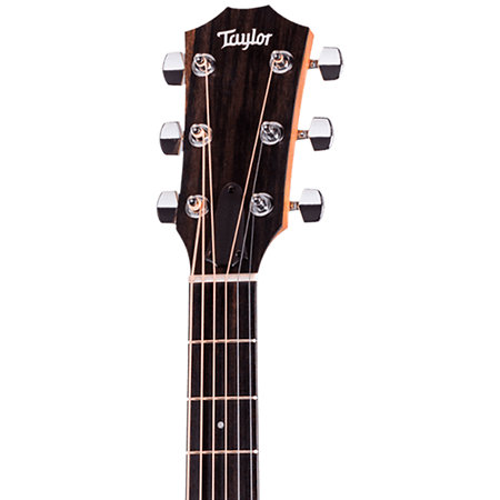 110ce + Housse Taylor