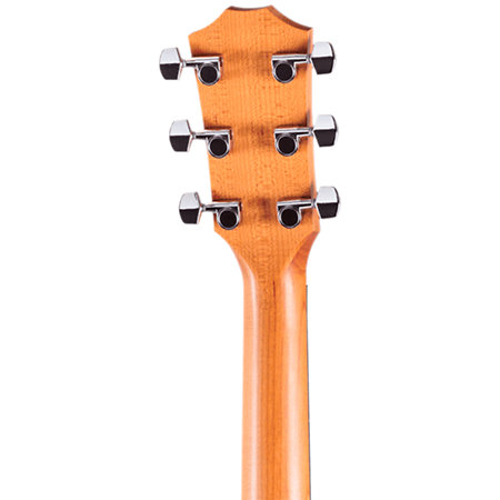 110ce + Housse Taylor