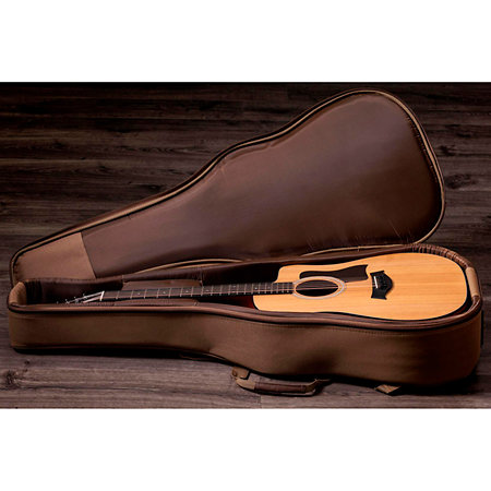 150ce + Housse Taylor