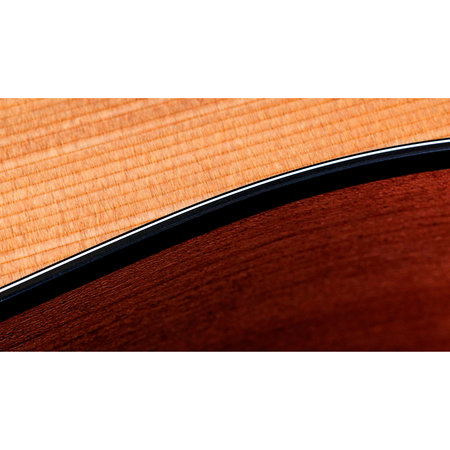 150ce + Housse Taylor