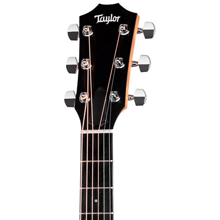 210ce + Housse Taylor