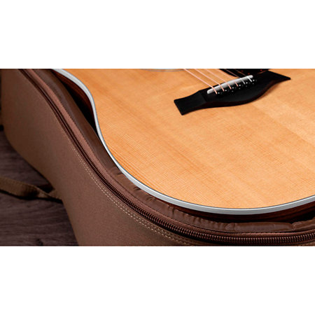 210ce + Housse Taylor