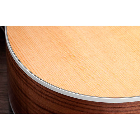 210ce + Housse Taylor