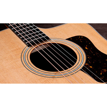 210ce + Housse Taylor
