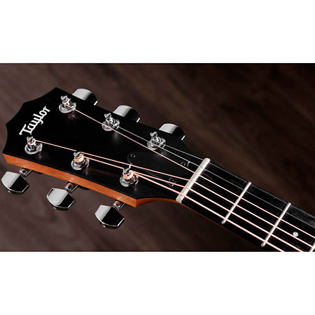 210ce + Housse Taylor