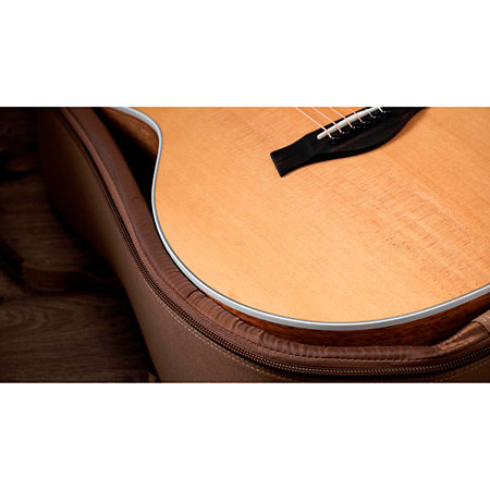 214ce-K + Housse Taylor