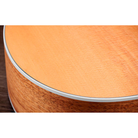 214ce-K + Housse Taylor