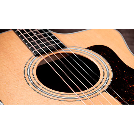 214ce-K + Housse Taylor