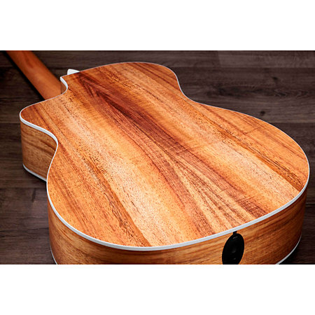 214ce-K + Housse Taylor