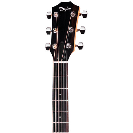 214ce Plus + Housse Taylor