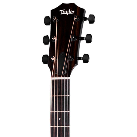 214ce-Black Plus + Housse Taylor