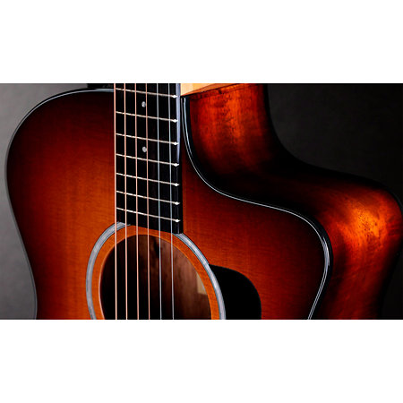 214ce-K SB Plus + Housse Taylor