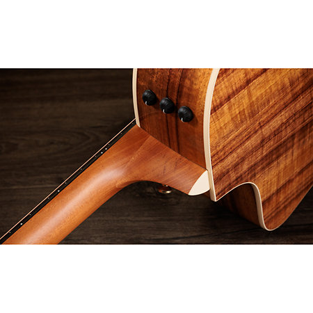 214ce-K DLX + Etui Taylor
