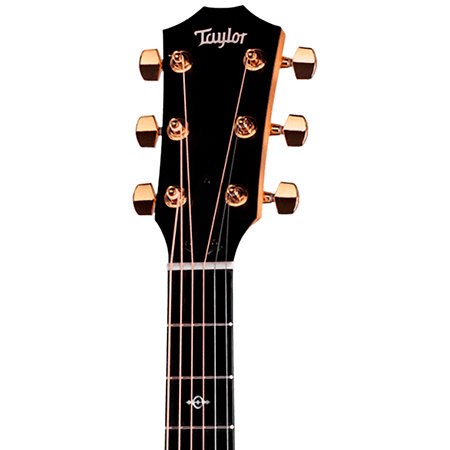 222ce-K DLX + Etui Taylor