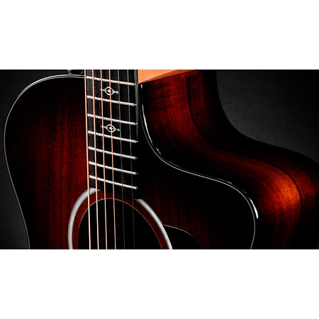 224ce-K DLX + Etui Taylor