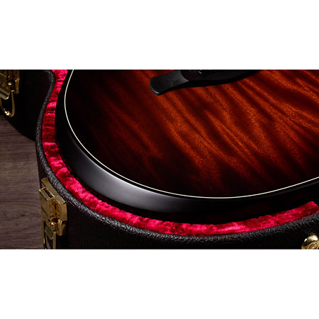 Builder's Edition 324ce + Etui Taylor